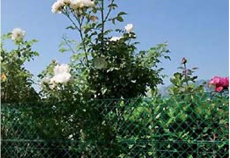 Decorative garden boundary TENAX FLORET